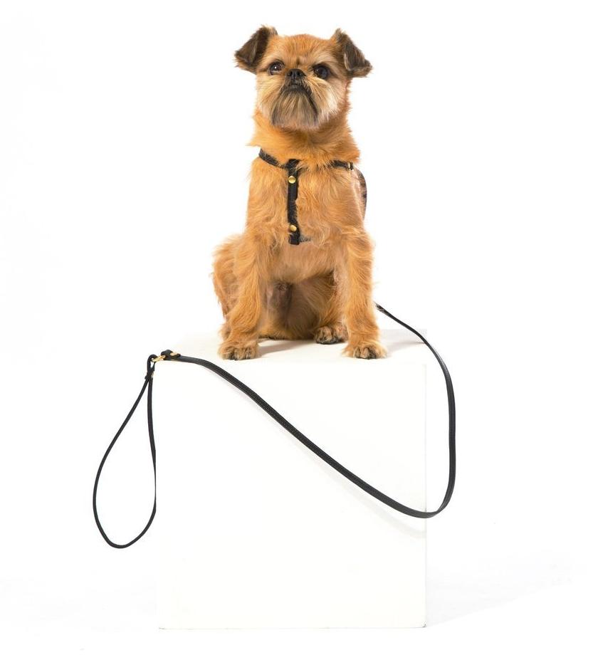 MR. DOG | Black Leather Step-In Harness & Leash WALK MR. DOG   