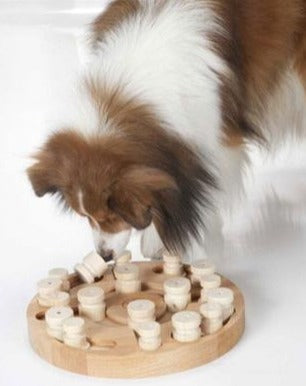 Mandala & Star Dog Puzzle Treat Game Play MY INTELLIGENT PETS   