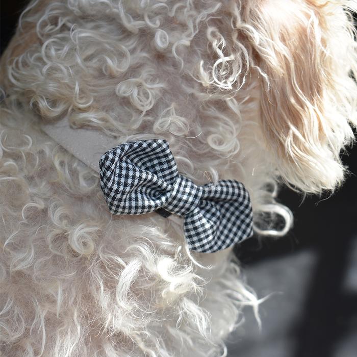 MODERN BEAST | Bow Tie in Black Gingham Accessories MODERN BEAST   