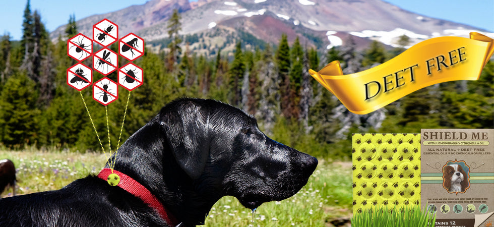 NOBLE PET COMPANY | Lemongrass & Citronella Oil Insect Defense Patches clean NOBLE PET   