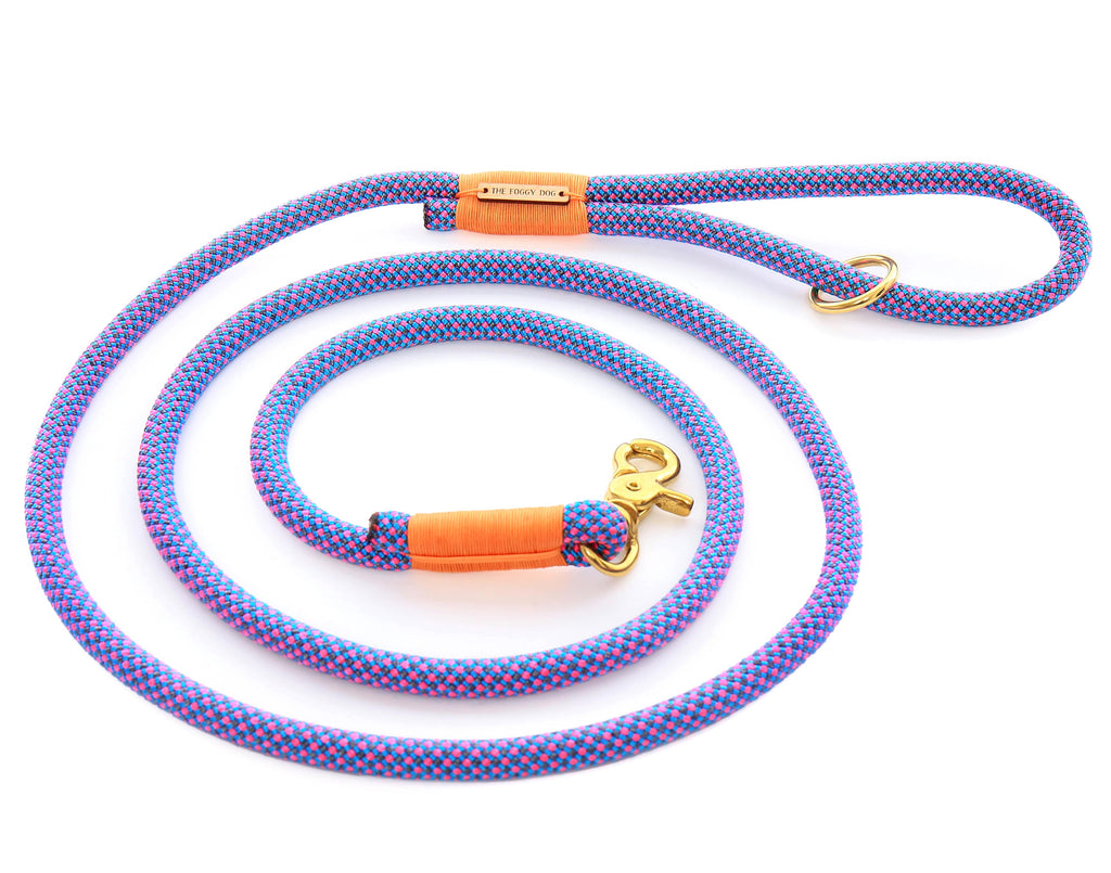THE FOGGY DOG | Climbing Rope Leash in Neon Tetra Leash THE FOGGY DOG   