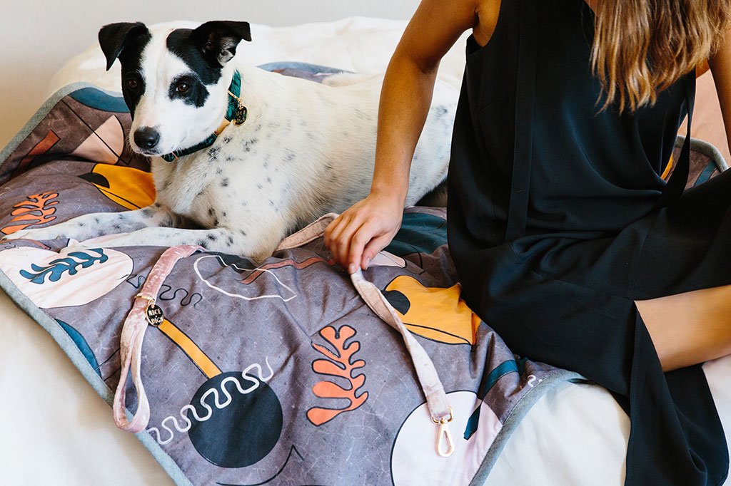 NICE DIGS | Velvet Dog Leash in Rose Leash NICE DIGS   
