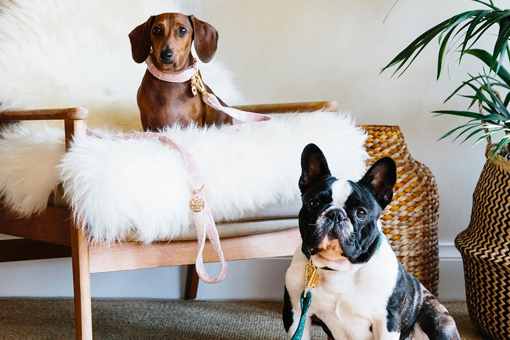 NICE DIGS | Velvet Dog Leash in Rose Leash NICE DIGS   