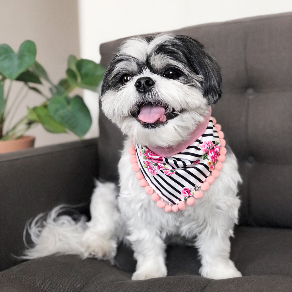 OH HONEY BEAR | Charlotte Pom Pom Bandana Accessories OH HONEY BEAR   