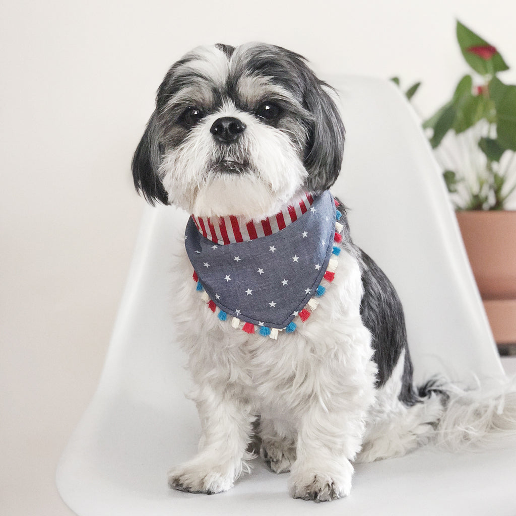 OH HONEY BEAR | Stars & Stripes Bandana Accessories OH HONEY BEAR   