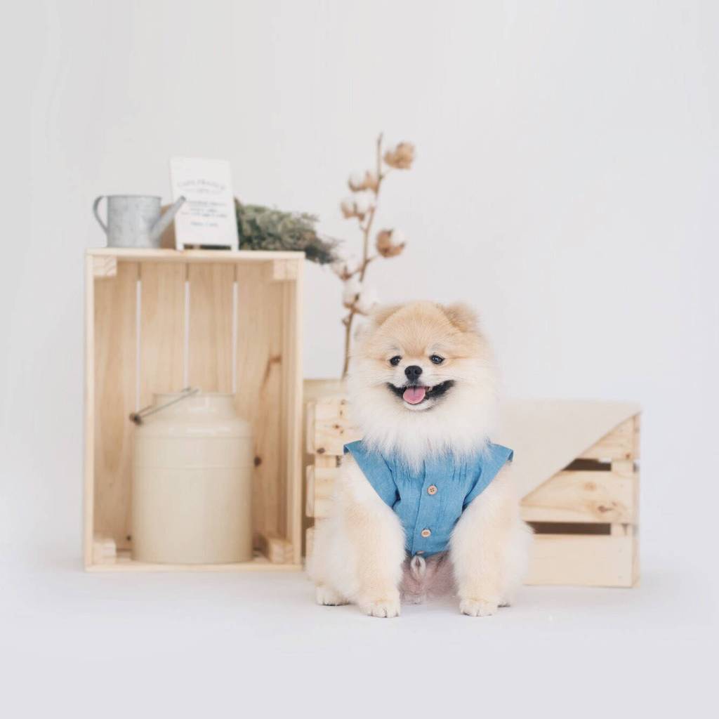 OH POP DOG | Pintuck Denim Shirt Apparel OH POP DOG   
