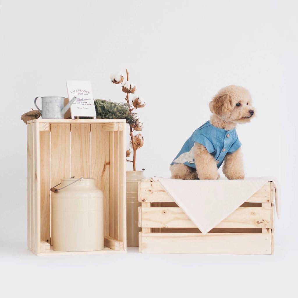 OH POP DOG | Pintuck Denim Shirt Apparel OH POP DOG   