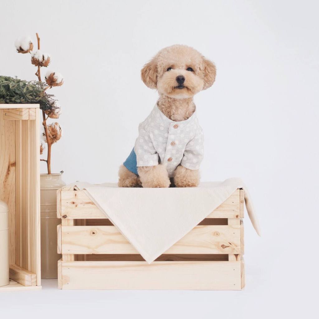 OH POP DOG | Polka Dot Denim Shirt Apparel OH POP DOG   