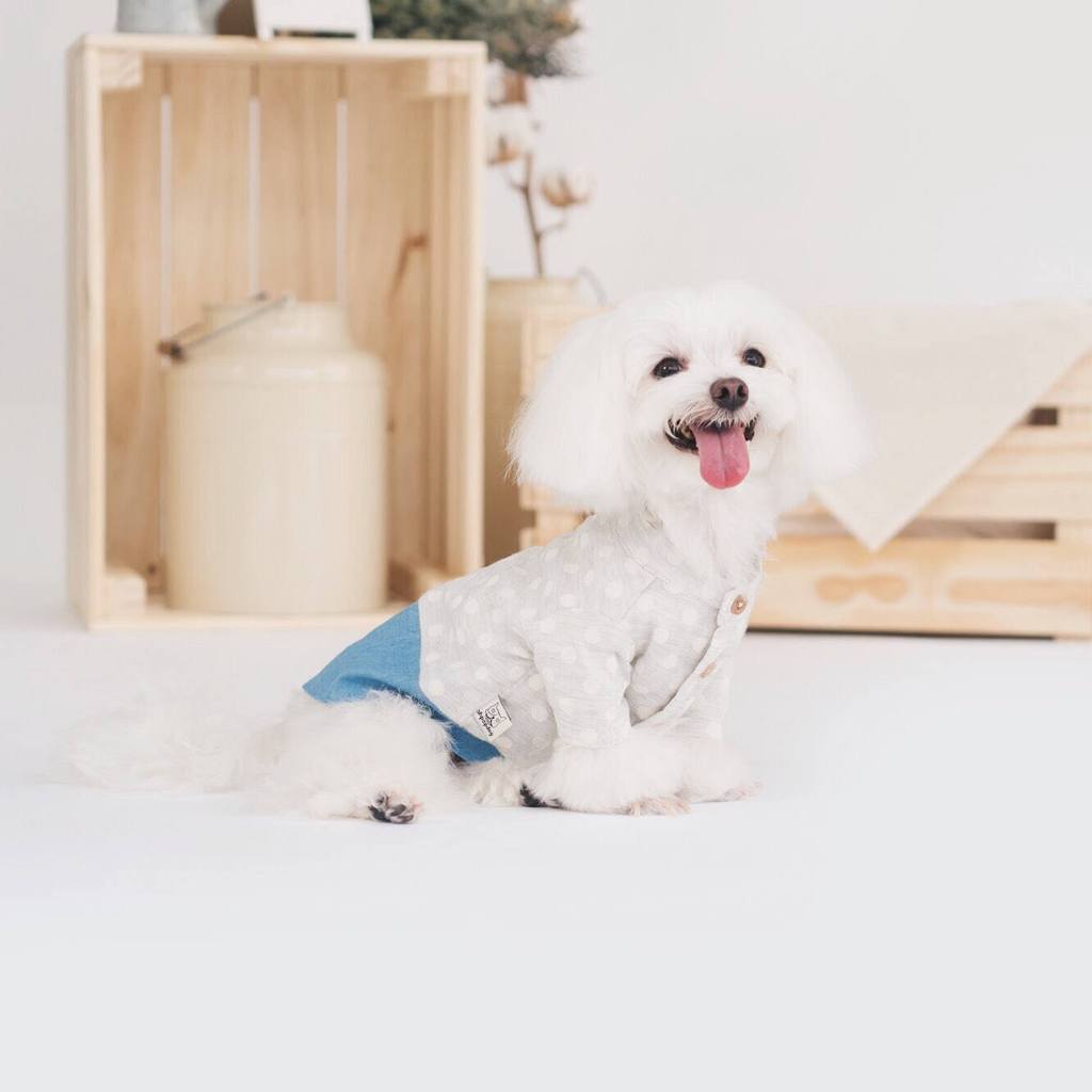 OH POP DOG | Polka Dot Denim Shirt Apparel OH POP DOG   