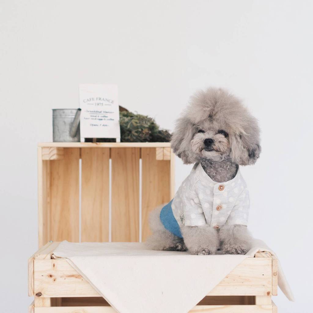 OH POP DOG | Polka Dot Denim Shirt Apparel OH POP DOG   