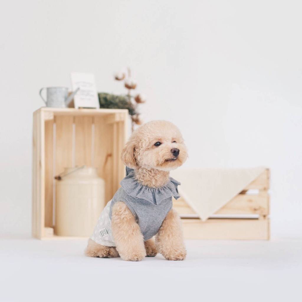 OH POP DOG | Ruffle Dress in Grey Polka Dot Apparel OH POP DOG   