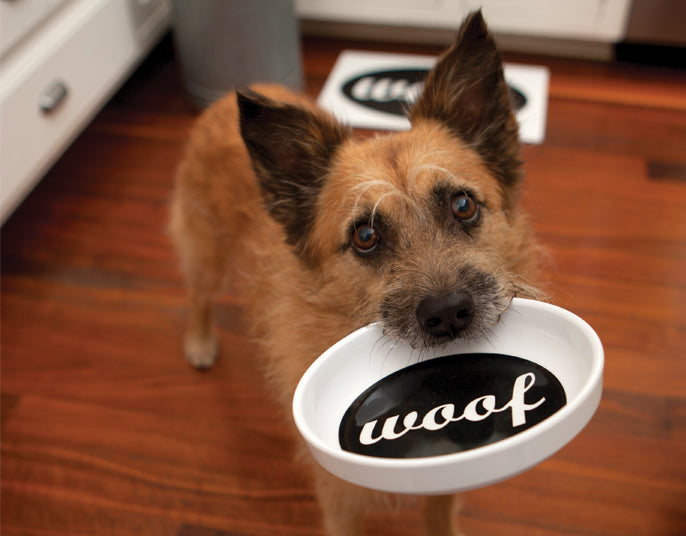 ORE PET | Woof Feeding Bowl Bowls ORE PET   