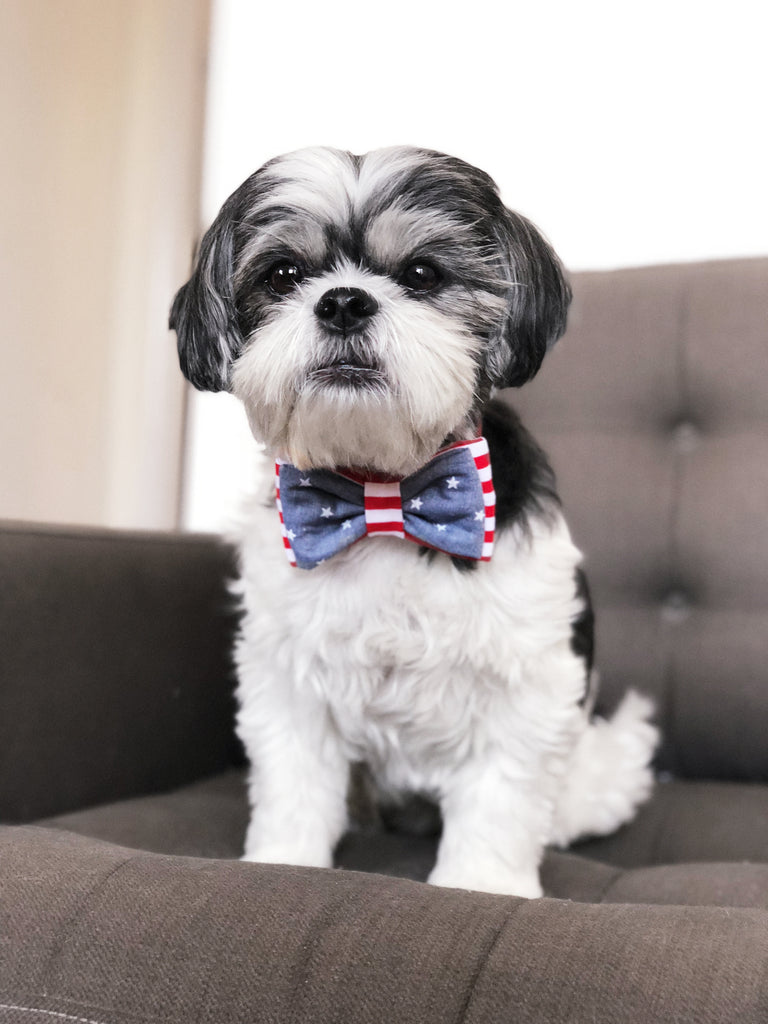 OH HONEY BEAR | Stars & Stripes Bow Tie Accessories OH HONEY BEAR   