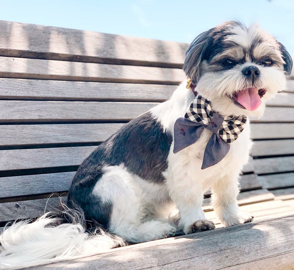 OH HONEY BEAR | Truman Sailor Bow Accessories OH HONEY BEAR   