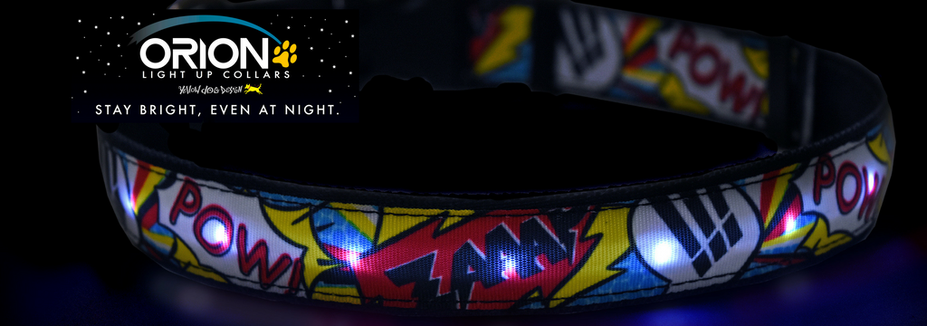 ORION COLLARS | LED Dog Collar in Teal Collar Orion Collars   