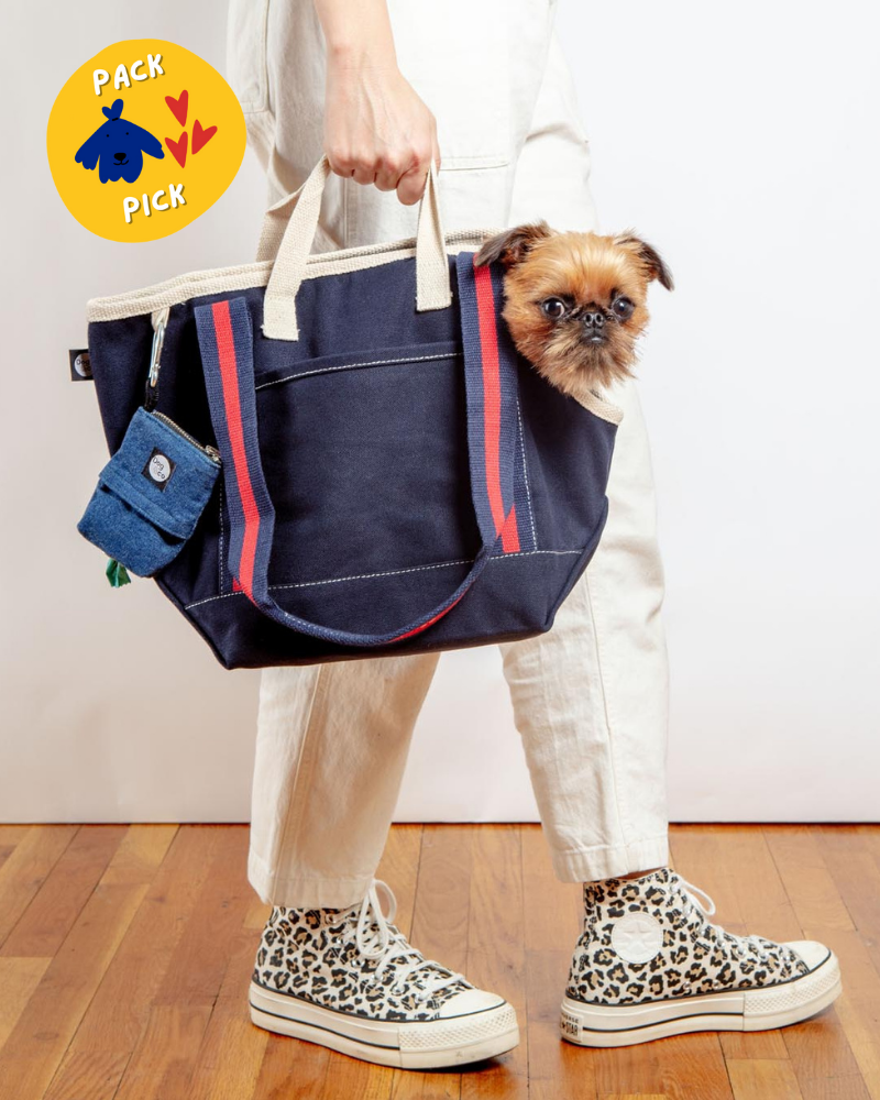 xuyidan Fashion Pet Carrier Dog Purse Foldable Dog Cat Handbag