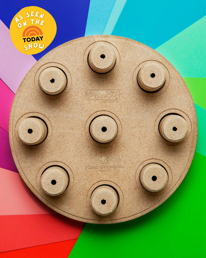 Dog Smart Treat Puzzle Game Play Nina Ottosson   