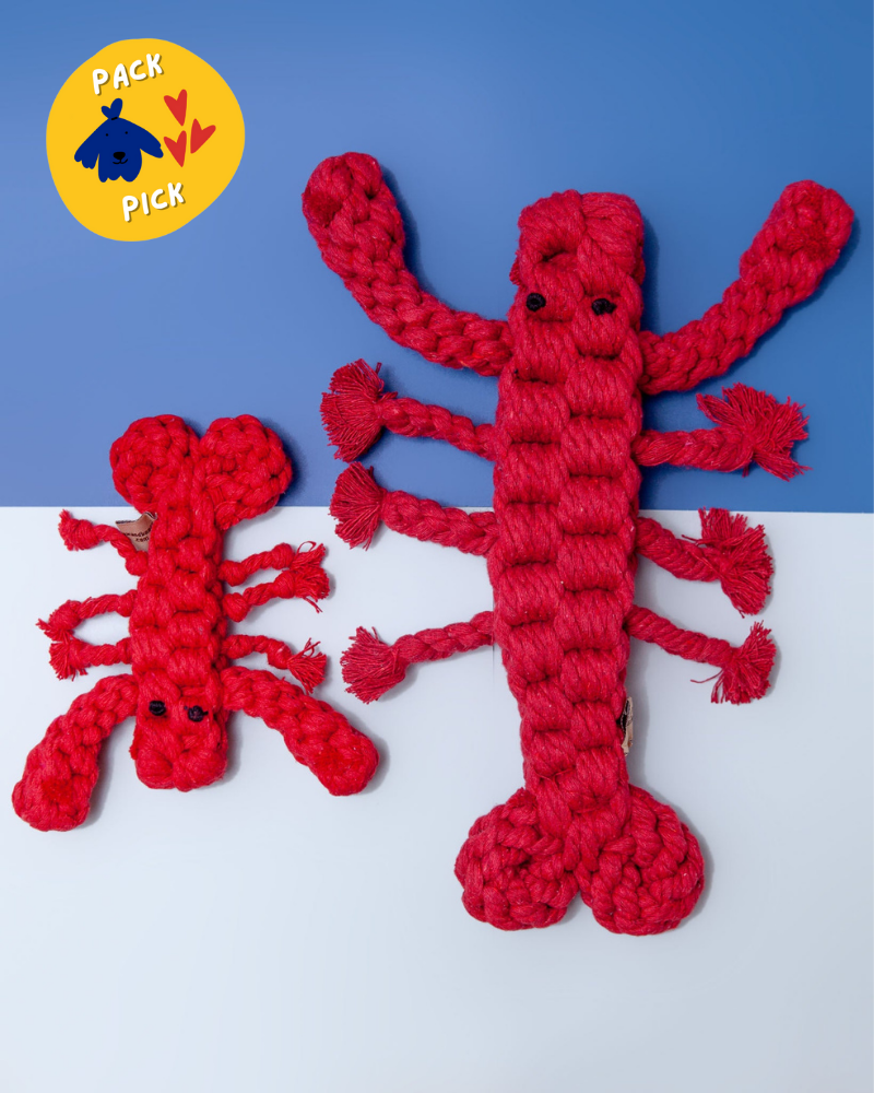 Louie the Lobster Rope Dog Toy Toys JAX & BONES   