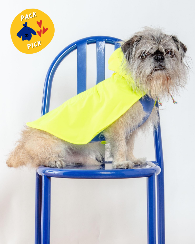 Action Jacket Pull-On Raincoat in Safety Yellow + Blue (Made in NYC) Wear DOG & CO. COLLECTION   