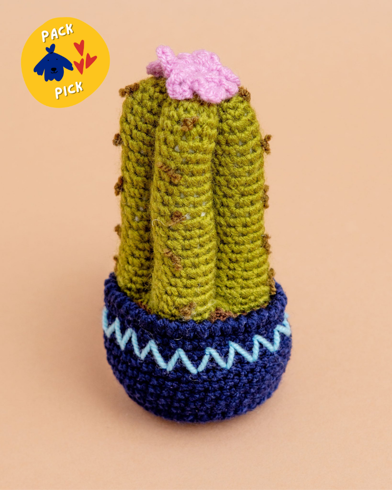 Hand-Knit Cactus Squeaky Dog Toy (FINAL SALE) Play SILK ROAD BAZAAR   