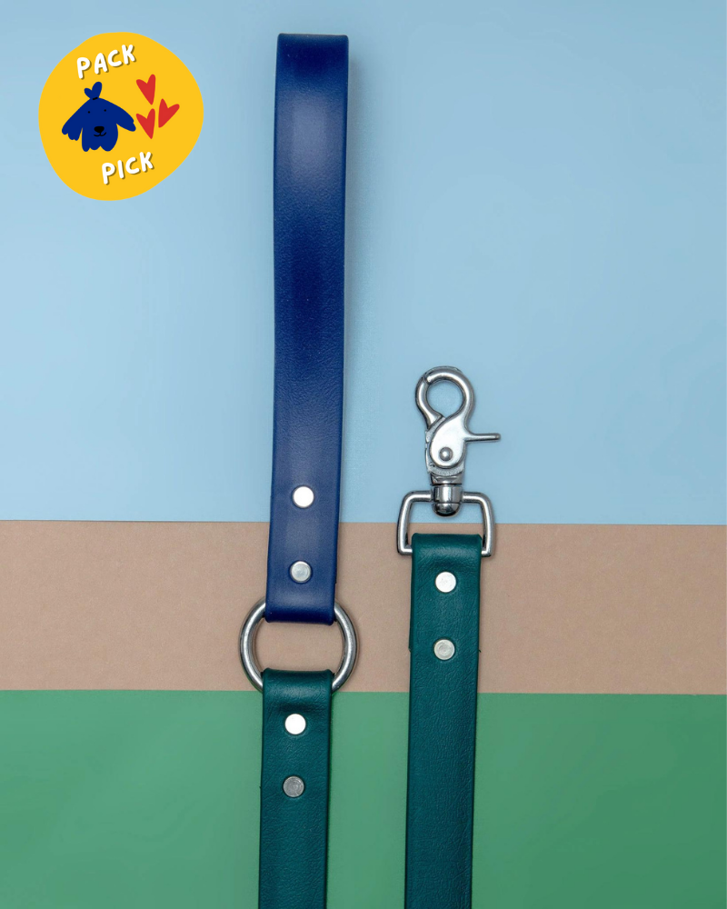 City Leash in Hunter Green & Navy (4 or 6 Foot) (Made in the USA) WALK DOG & CO. COLLECTION   