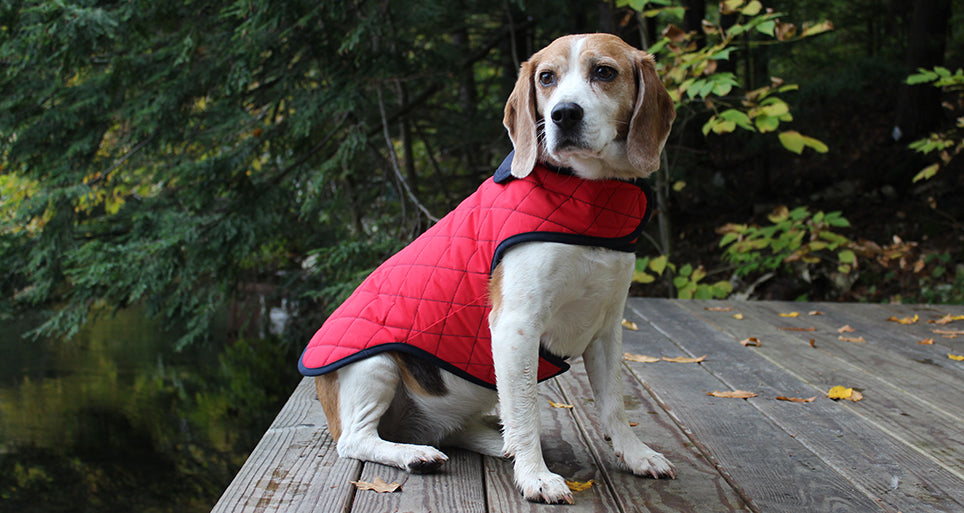 PACO & LUCIA | Andean Peaks Quilted Jacket in Red (Water Resistant) Coats & Jackets PACO & LUCIA   