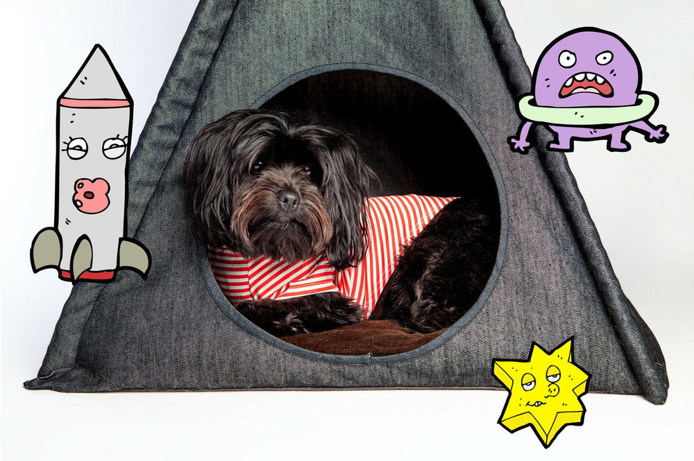 Horizon Pet Teepee in Desert Stripe (Drop-Ship) HOME P.L.A.Y.   