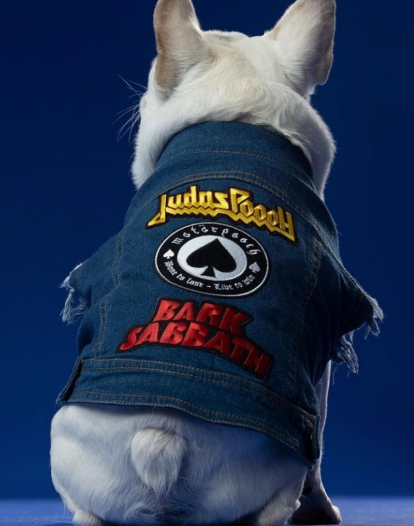Dog 2025 battle jacket