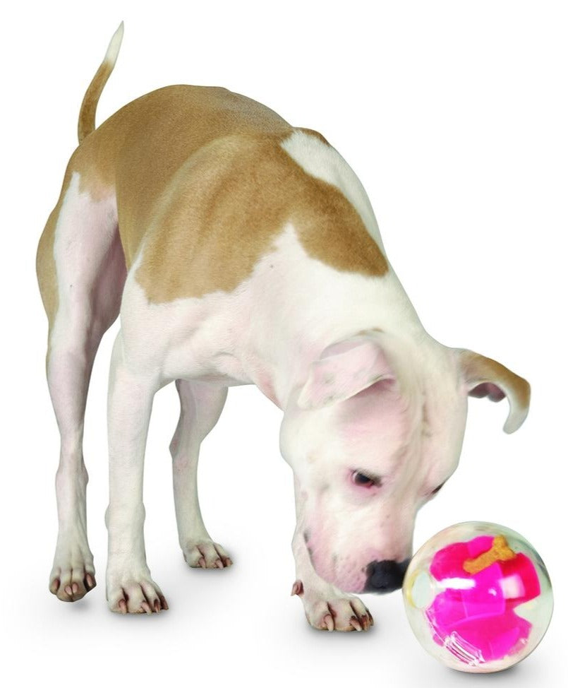 Orbee Tuff Mazee Toy Play PLANET DOG   