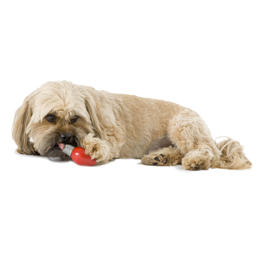 PLANET DOG | Holiday Bulb Toy in Red Toys PLANET DOG   