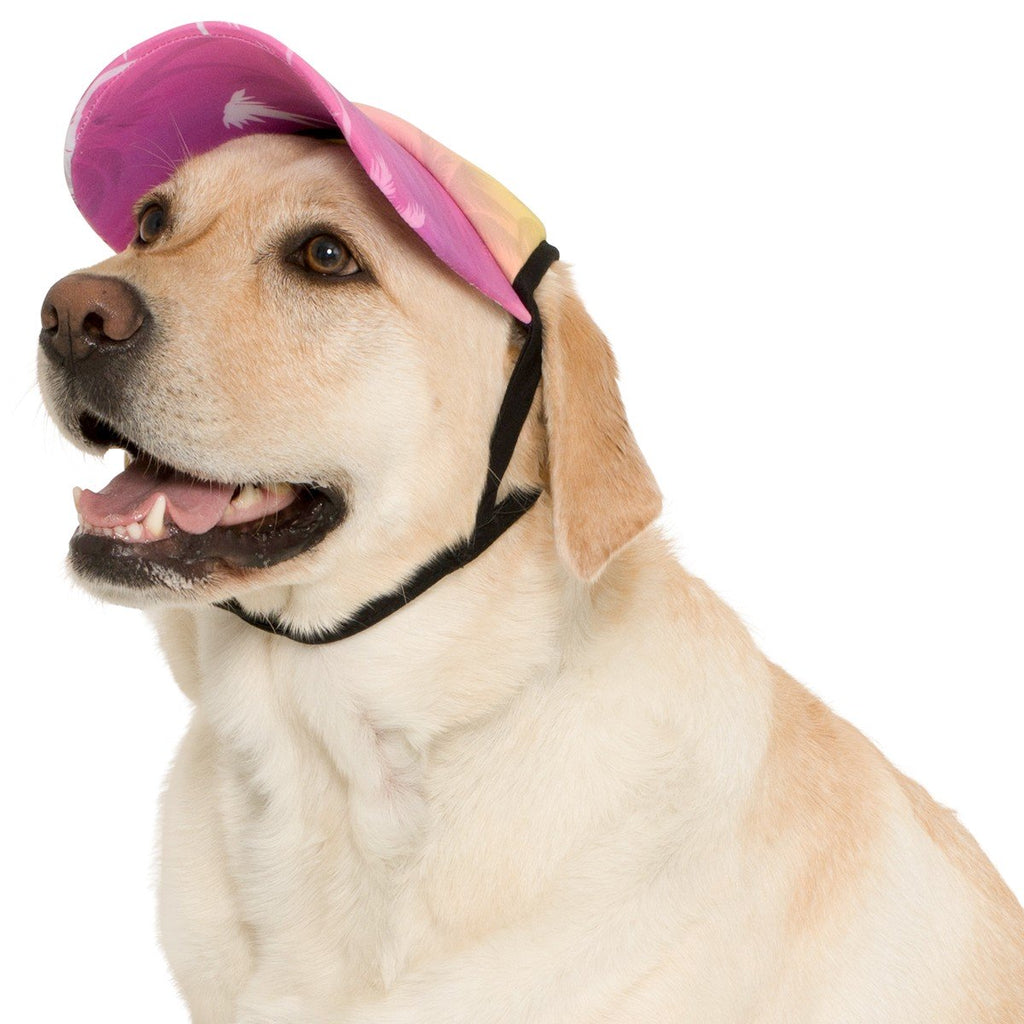 PLAYA PUP | Dog Visor in Tropical Treasure Green Accessories PLAYA PUP   