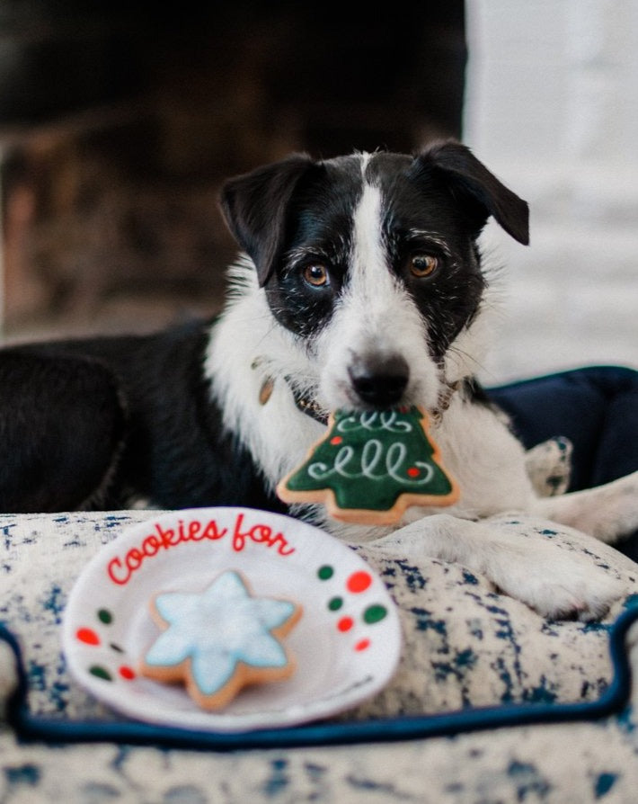 Christmas Eve Cookies for Santa Paws Dog Toy Set Play P.L.A.Y.   