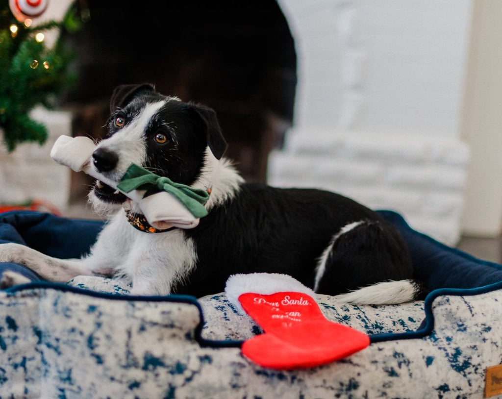 Good Dog Stocking & Bone Toy Set Play P.L.A.Y.   