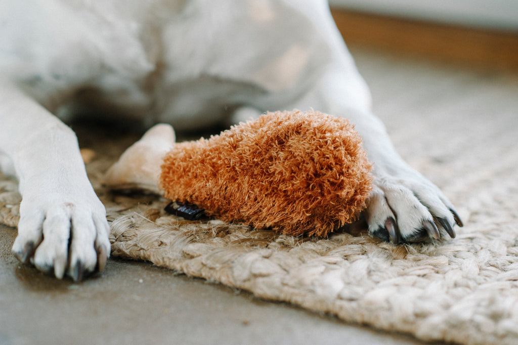 Fried Chicken Dog Plush Toy Play P.L.A.Y.   