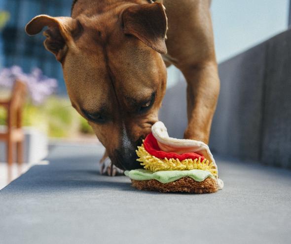Plush Taco Crinkle & Squeak Dog Toy Play P.L.A.Y.   