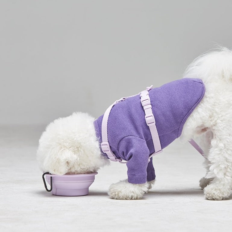 Macaron Collapsible Silicone Pet Bowl in Lavender Eat INHERENT   