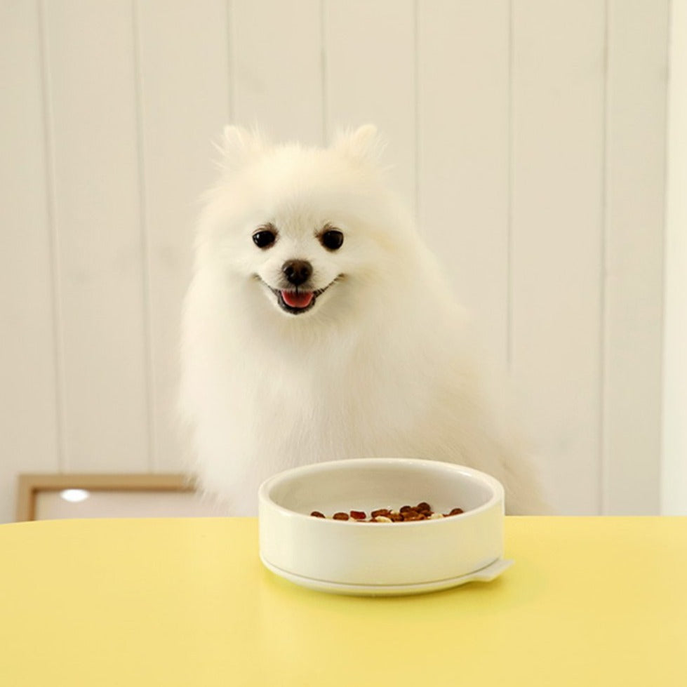 Ceramic & Silicone Pudding Dog Bowl in White (FINAL SALE) HOME INHERENT   