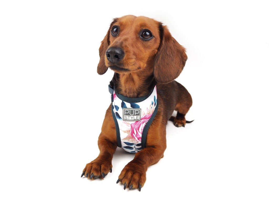 PUPSTYLE | Floral Blooms Harness Harness PUPSTYLE   