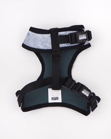 PUPSTYLE | Greys for Days Harness Harness PUPSTYLE   