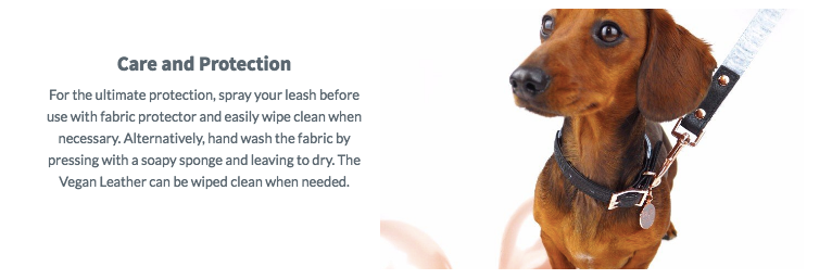 PUPSTYLE | Greys for Days City Leash Leash PUPSTYLE   