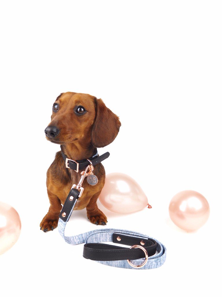 PUPSTYLE | Greys for Days City Leash Leash PUPSTYLE   