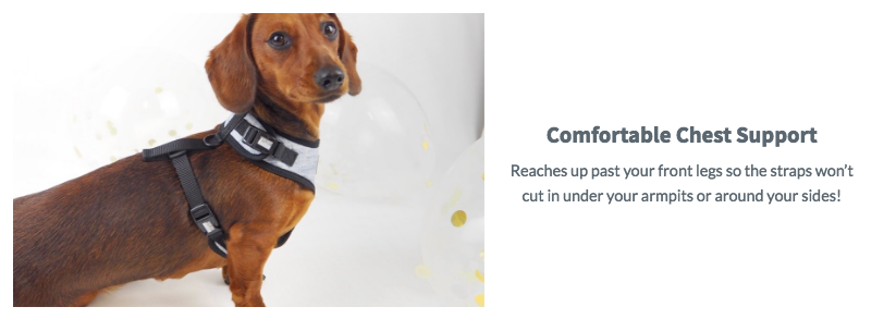 PUPSTYLE | Greys for Days Harness Harness PUPSTYLE   