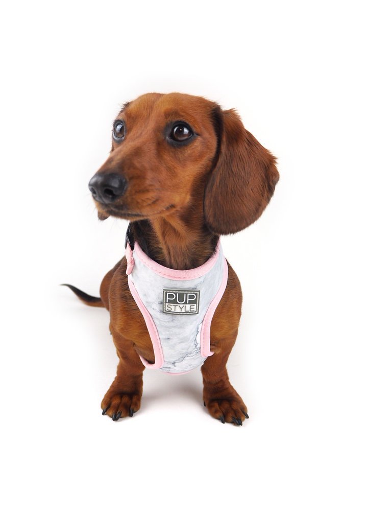 PUPSTYLE | Marble Luxe Harness Harness PUPSTYLE   