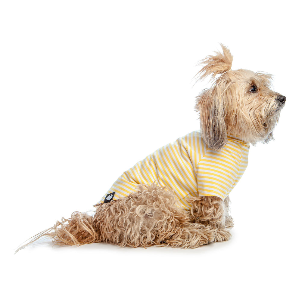 DOG & CO. | Perfect T in Sunshine Yellow & White Stripe Apparel DOG & CO. COLLECTION   