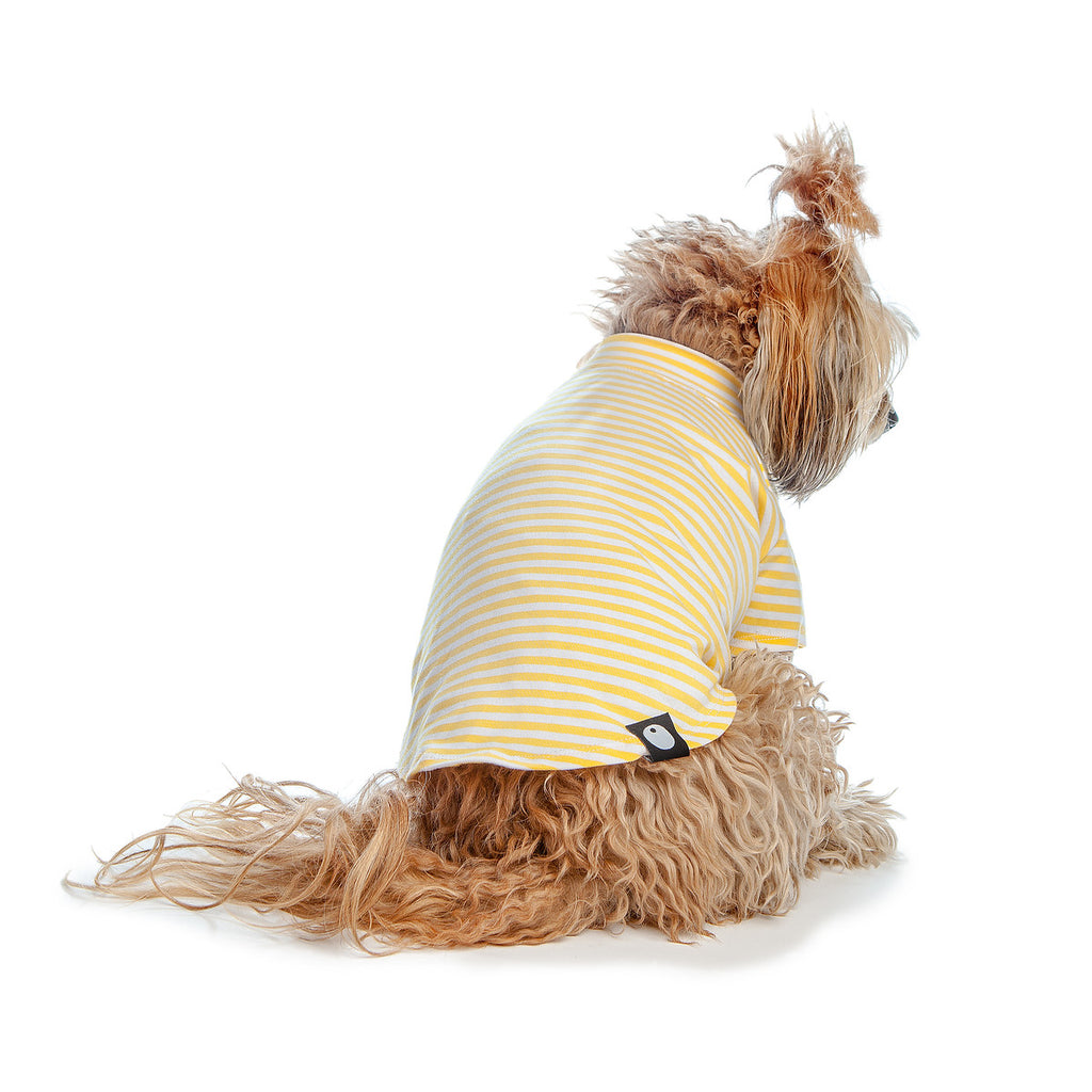 DOG & CO. | Perfect T in Sunshine Yellow & White Stripe Apparel DOG & CO. COLLECTION   