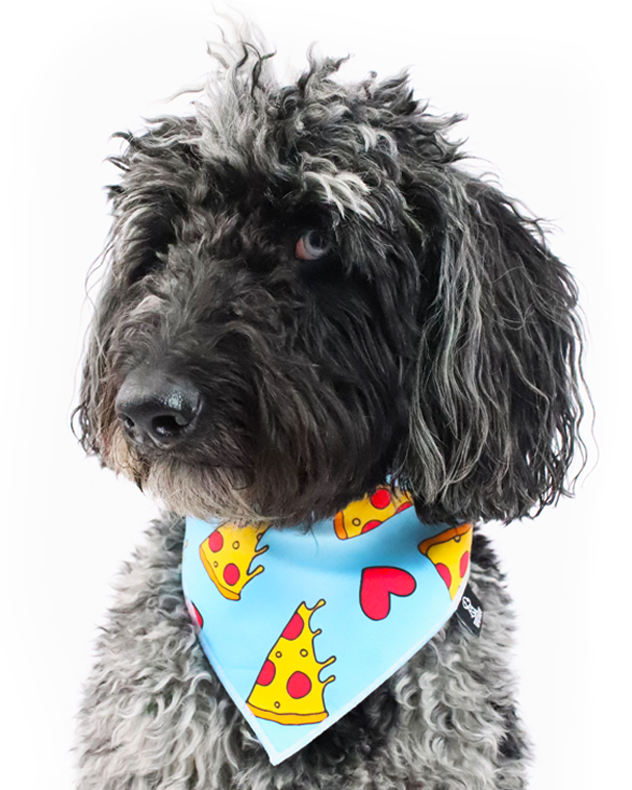 Pizza my Heart Bandana Accessories RIPLEY AND RUE   