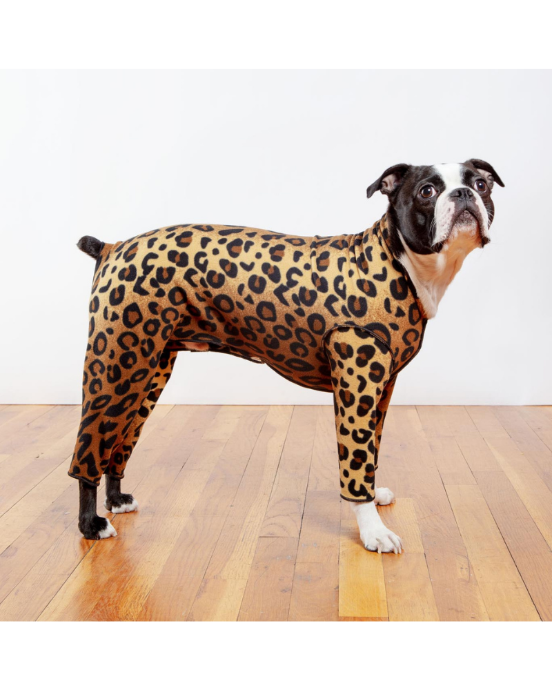 Stretch Fleece Onesie in Leopard (Made in the USA, DOG & CO. + GOLD PAW Exclusive!) Wear DOG & CO. COLLECTION   