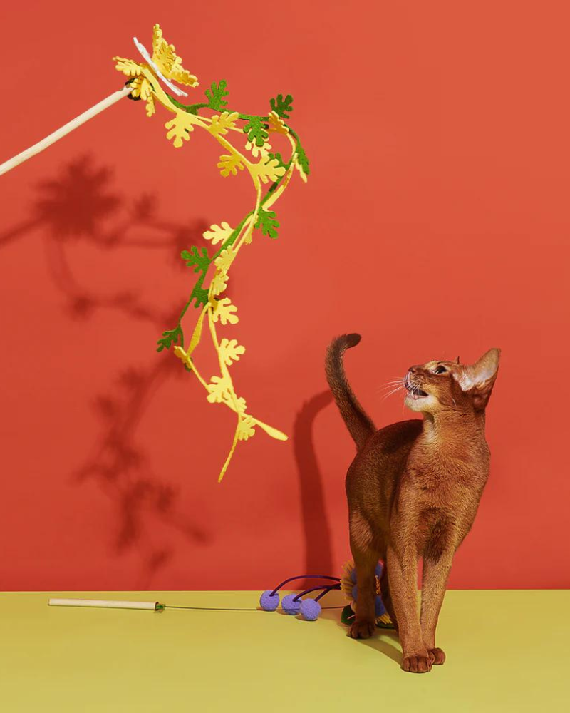 Blooming Cat Teaser Toy Play PURRRE Dancing Flake  
