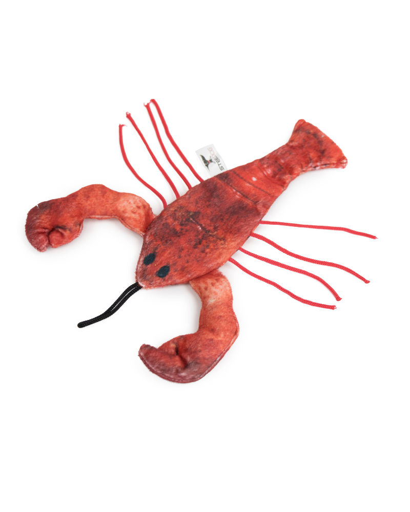 Red the Lobster Cat Toy << FINAL SALE >> CAT STEEL DOG   