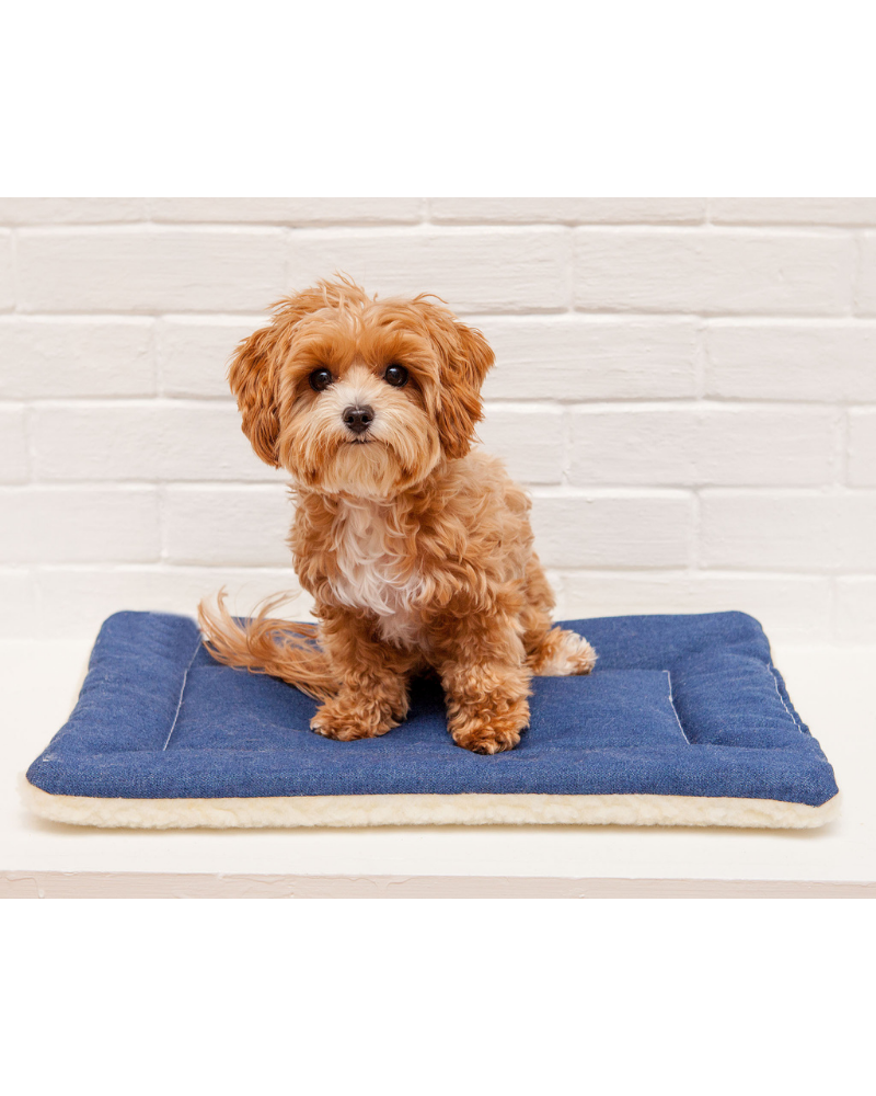 Cow Print & Plush Pet Napping Mat (Made in the USA) (FINAL SALE) HOME MUTTS & MITTENS   